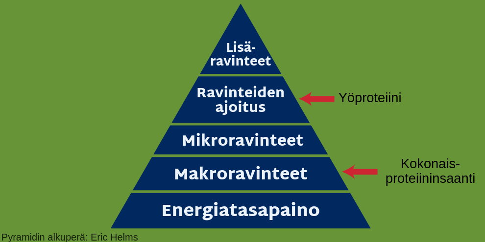 Ravitsemuksen hierarkia