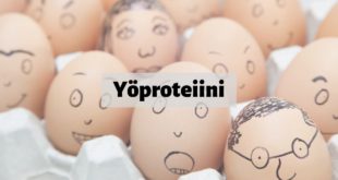 Yöproteiini on edelleen hyödyksi